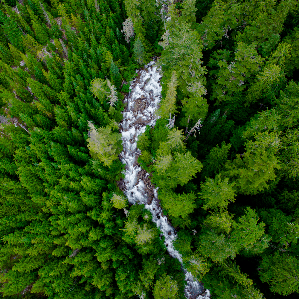 PolarPro Phantom 4 Pro Cinema Series 6-pack - Bilde 6