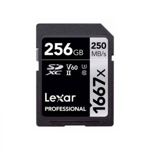 Lexar Professional SD-card 1667x 256GB
