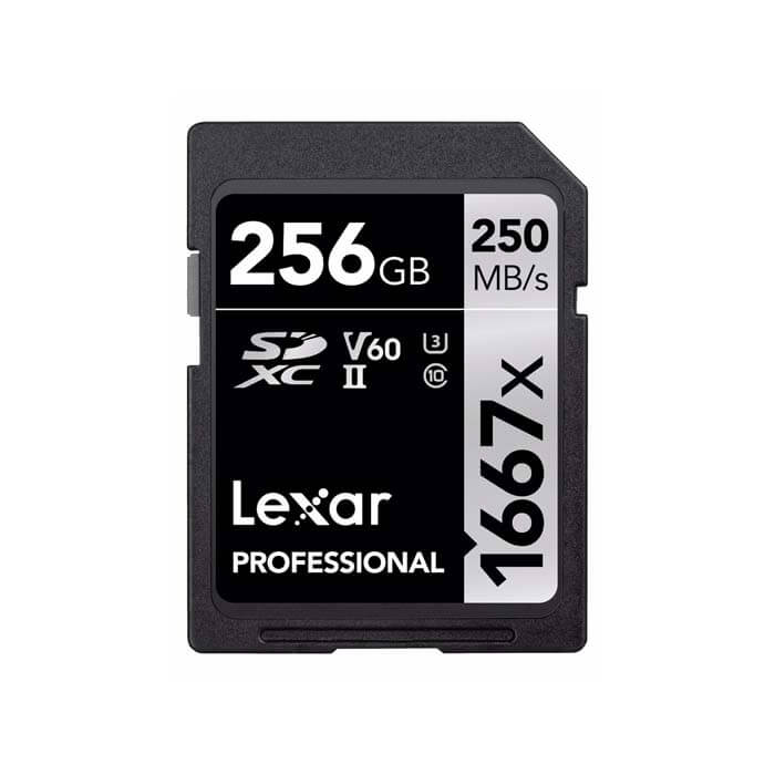 Lexar Professional SD-card 1667x 256GB